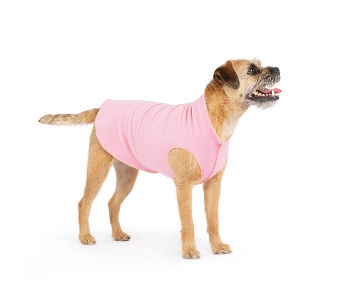 Gold Paw Stretch Fleece - Rose