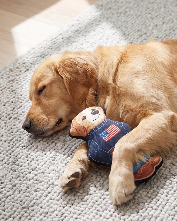 Ruff Lauren Teddy Dog Plush