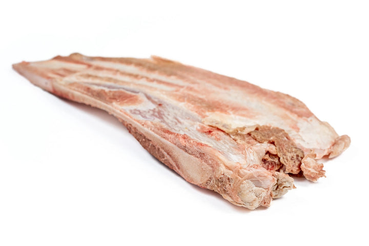Bison Scapula Chew