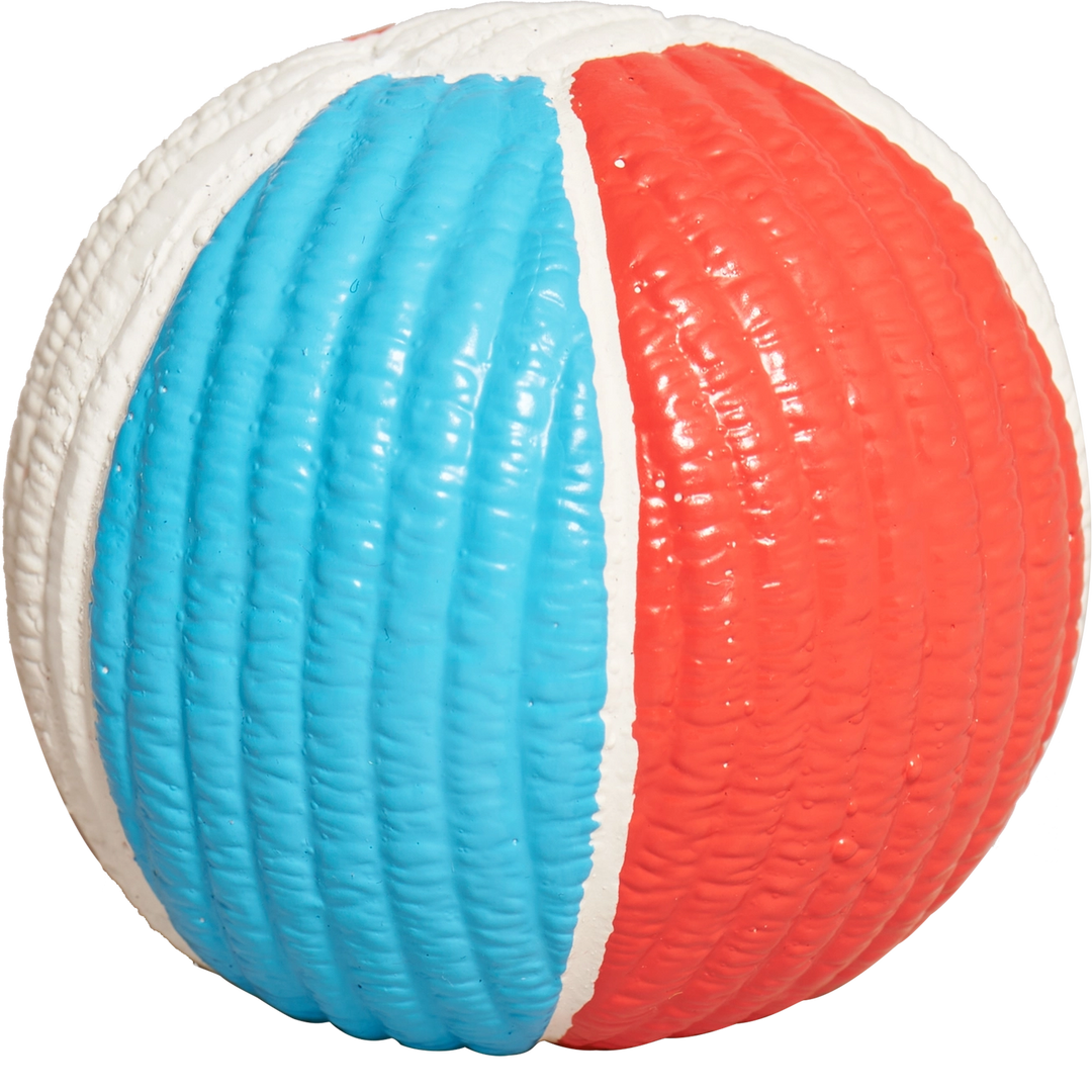 Chomp & Chase Shark Dog Toy