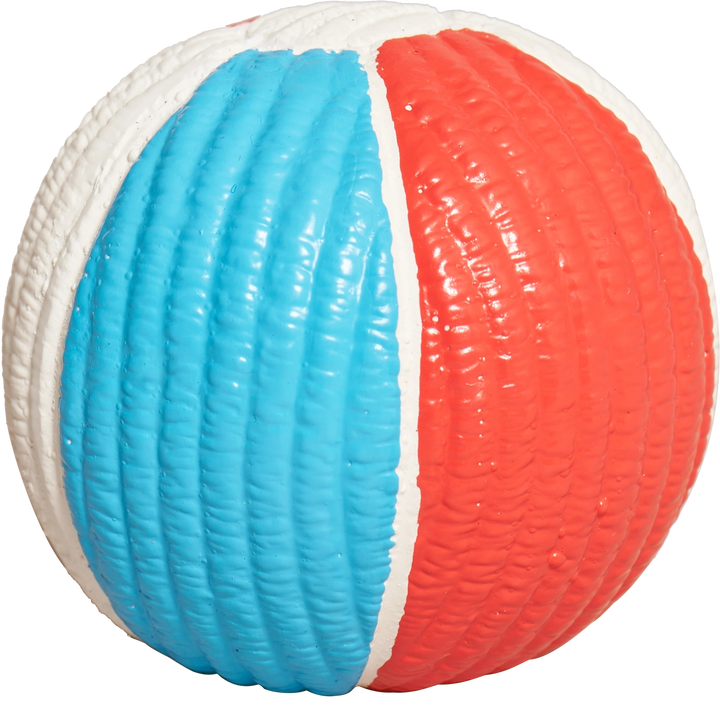 Chomp & Chase Shark Dog Toy