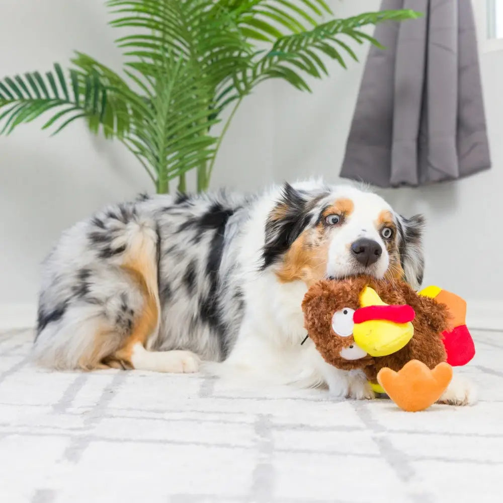 Slappies® Wishbone Turkey Dog Toy