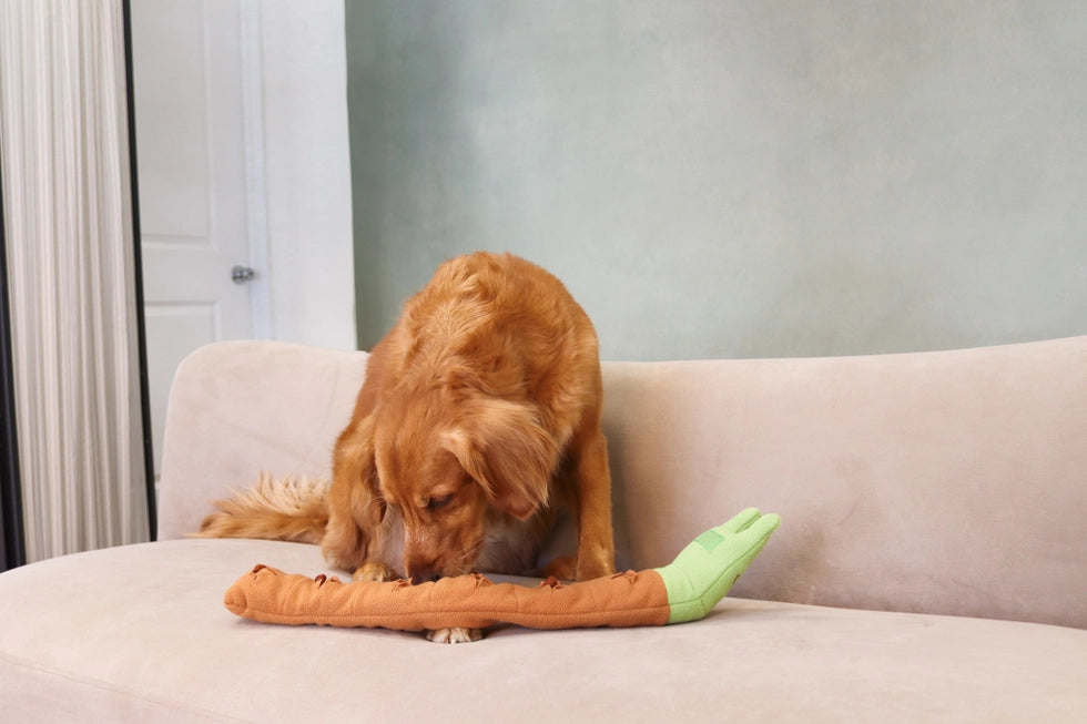 Snail Roll-Up Snuffle Toy