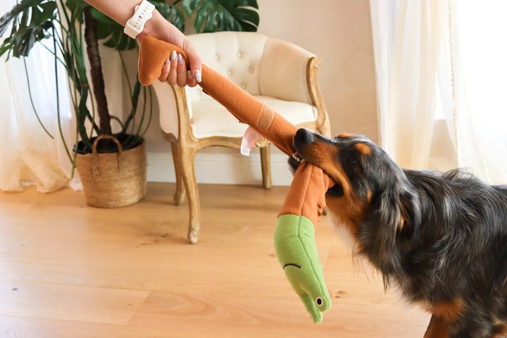 Snail Roll-Up Snuffle Toy