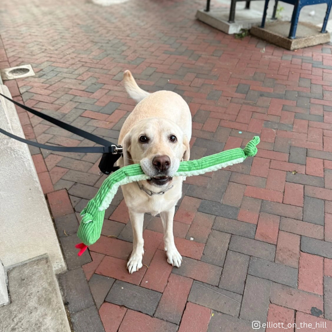Snake Knottie Dog Toy