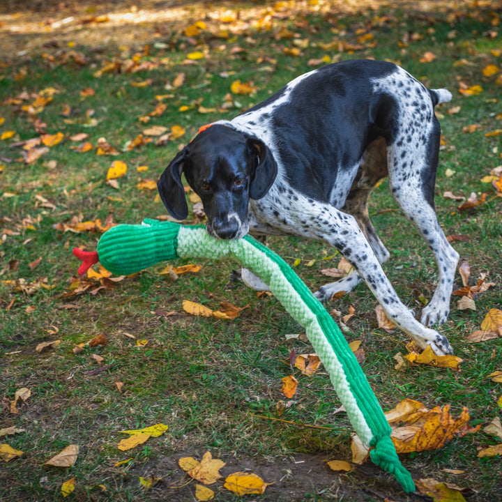 Snake Knottie Dog Toy