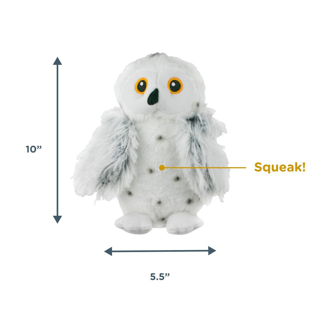 Animated Snowy Owl