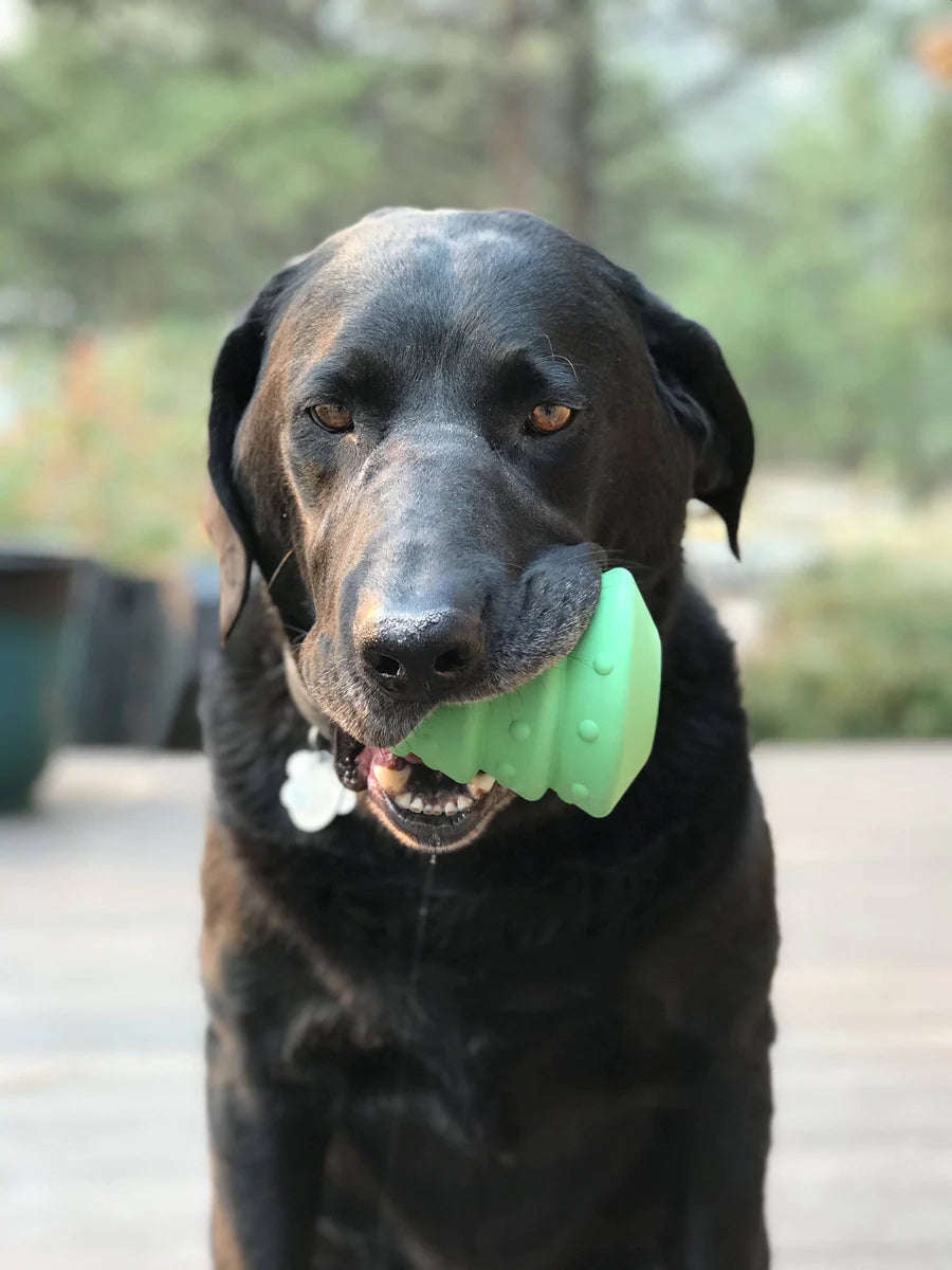 Christmas Tree Chew & Treat Toy