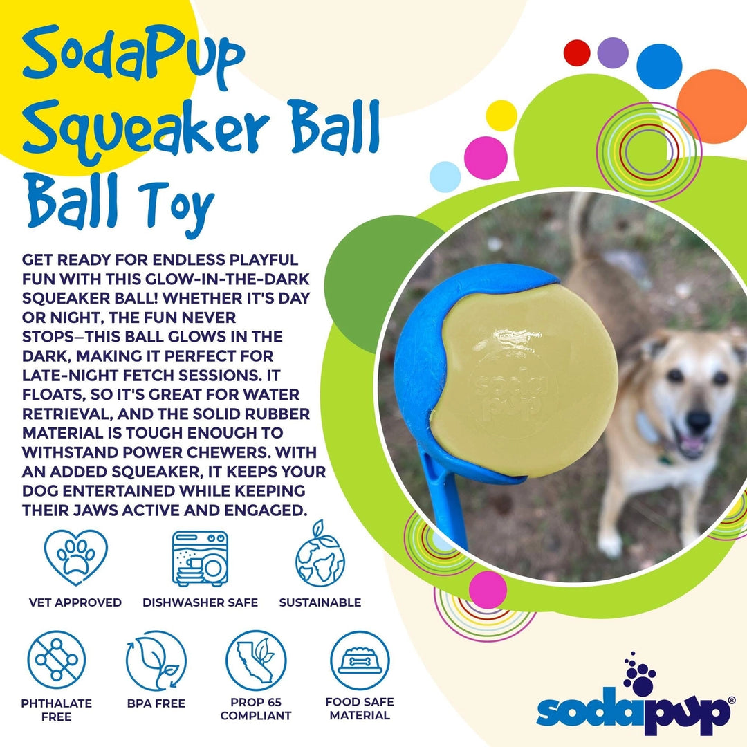 Glow-in-the-Dark Squeaky Dog Ball