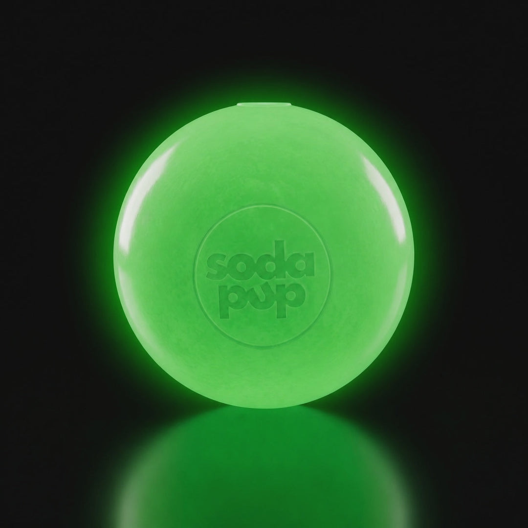 Glow-in-the-Dark Squeaky Dog Ball
