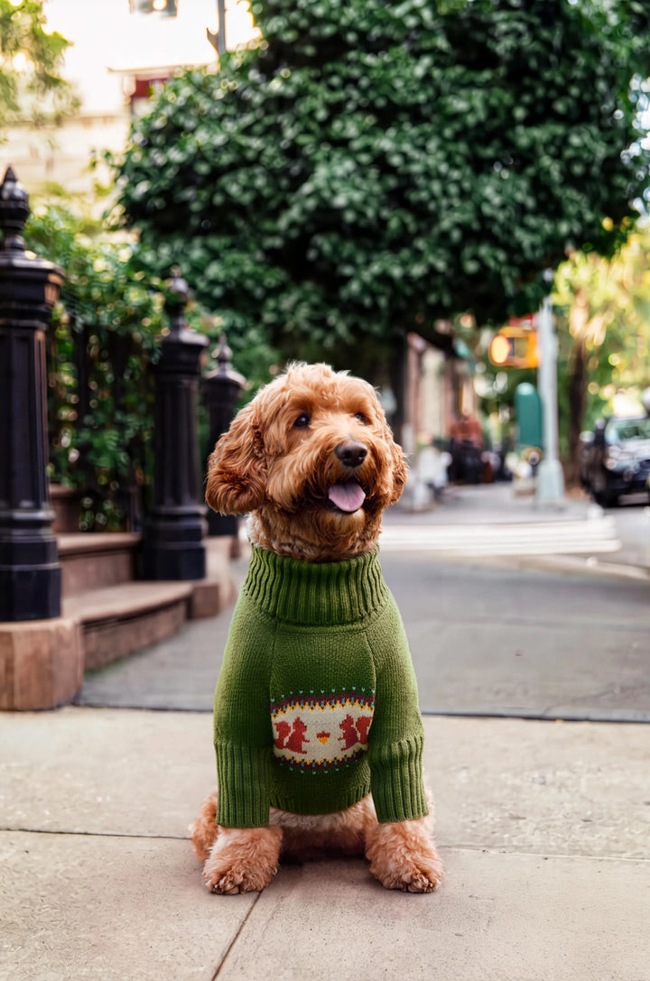 Squirrel Dog Sweater