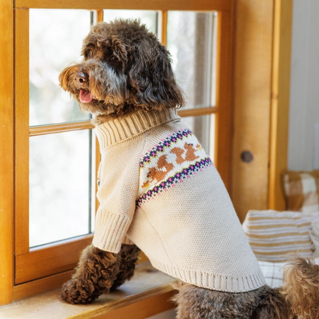 Squirrel Cable Knit Dog Sweater