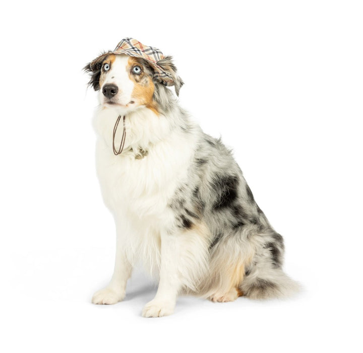 Tan Plaid Bucket Hat or Dogs & Cats