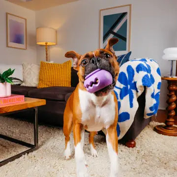 PlayStack Puzzle Dog Toy - The Squiggle