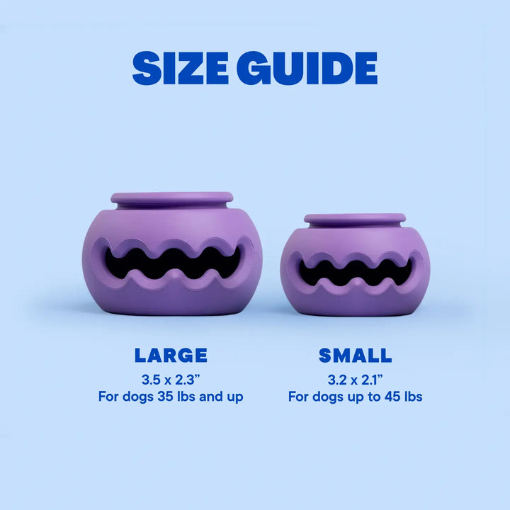 PlayStack Puzzle Dog Toy - The Squiggle