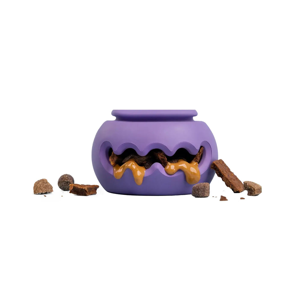 PlayStack Puzzle Dog Toy - The Squiggle