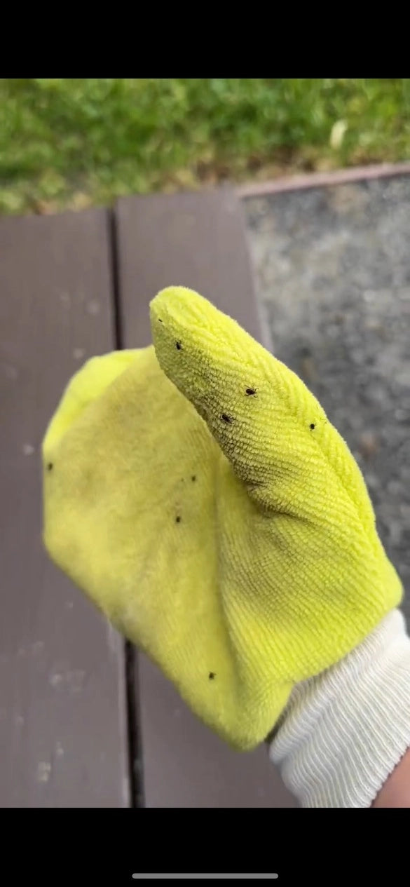 Tick Mitt for Pets & People