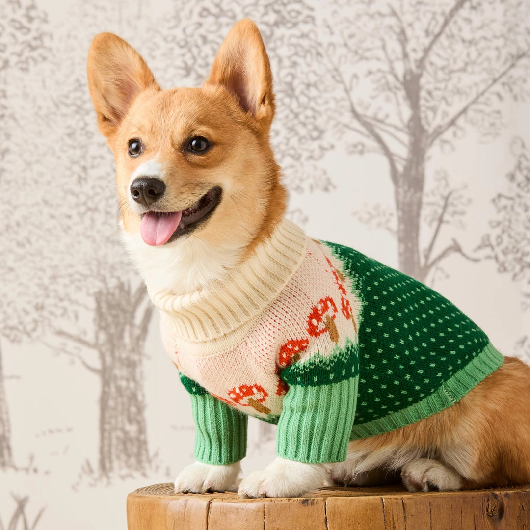 Toadstool Dog Sweater