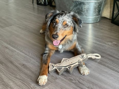 Leather Trout Tug Toy