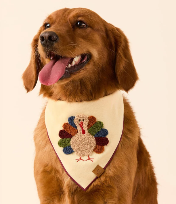Turkey Applique Dog Bandana