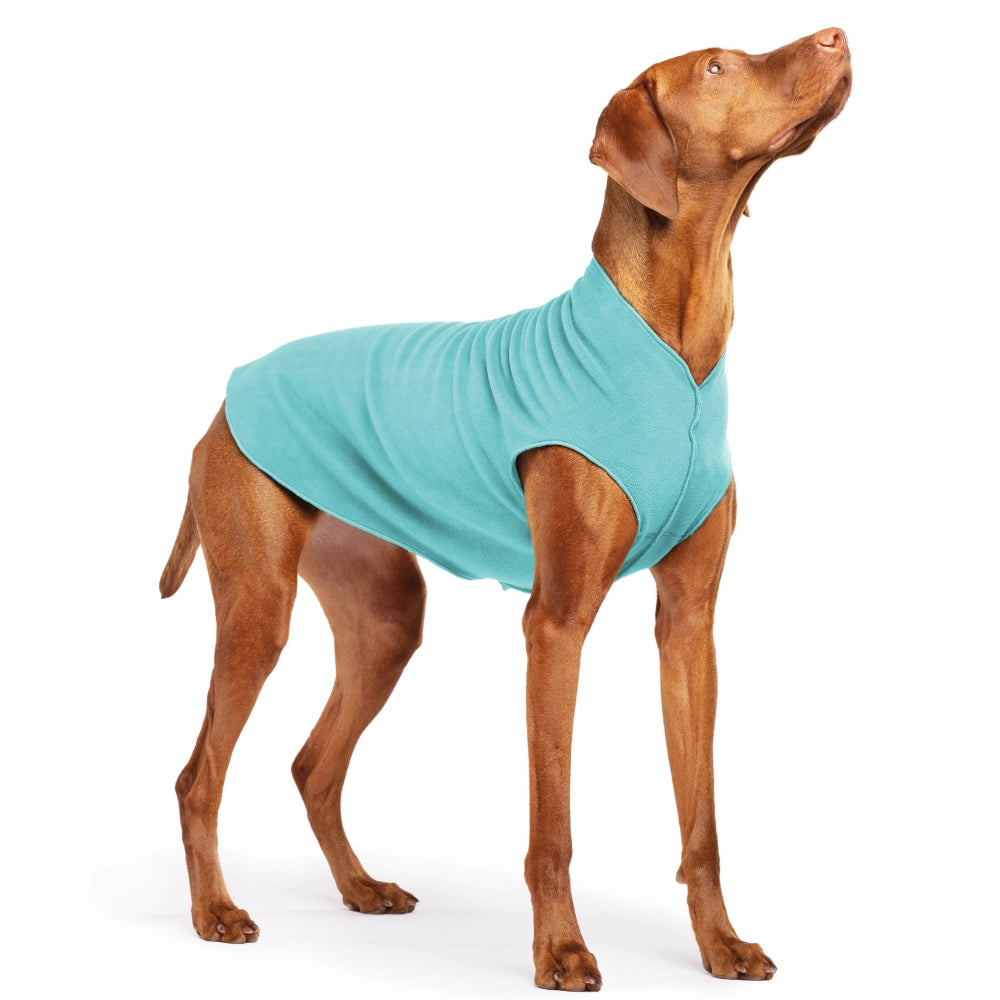 Gold Paw Turquoise Stretch Fleece