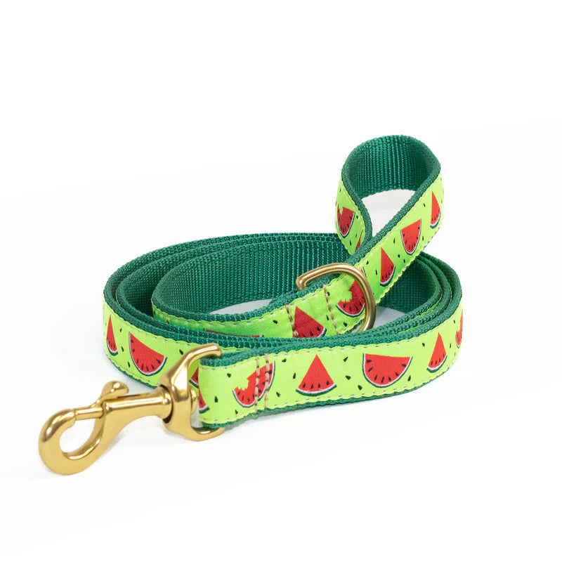 Watermelon Dog Lead