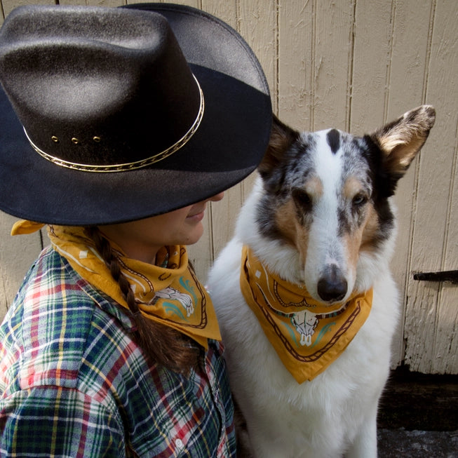 Western Bandana for Pets & People