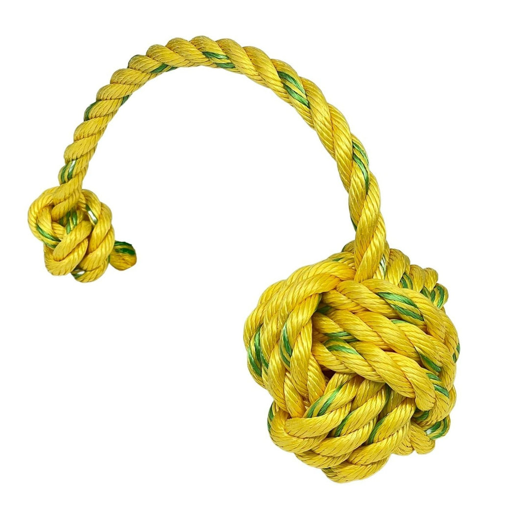 Float Rope Fetch Dog Toy – Scalawags Pet Boutique