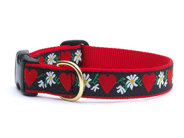 Hearts & Flowers Dog Collar