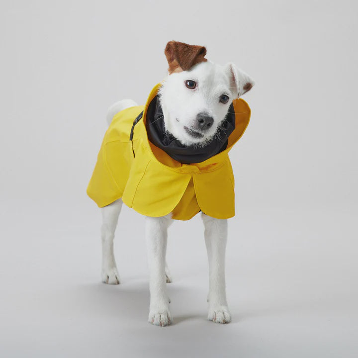 PAIKKA Visibility Yellow Raincoat